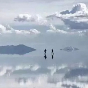 ����ĸ��