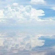 ��ĸ��