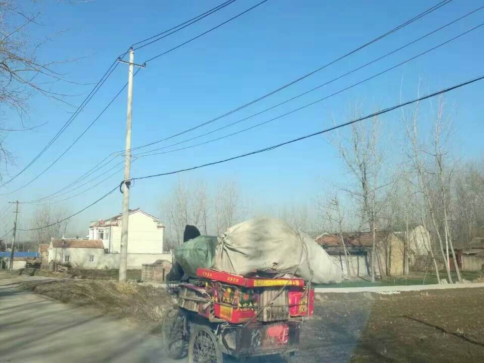 ��������������Ǻ���