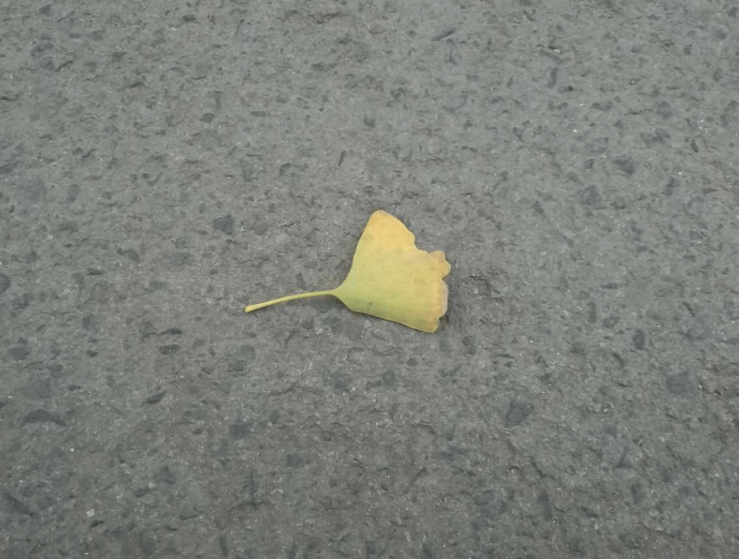�l(shu��)�����ҵ���Ǭ����