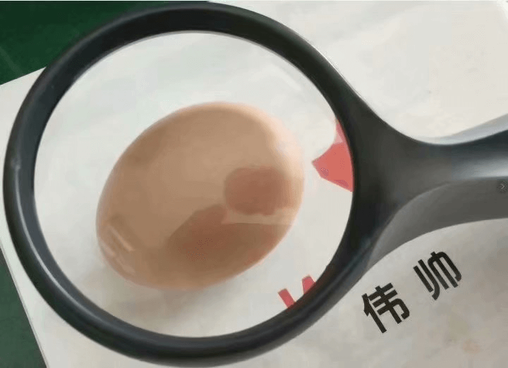 ק�^�퓝�����i