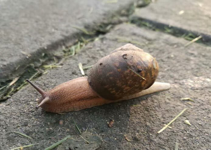 ���Mɳ�ӵ��۾�����һ���I���˵������ϣ�